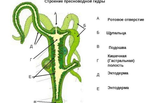 Блэк спрут не работает blacksprut adress com