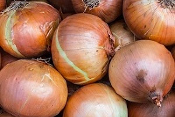 Black sprut зеркало рабочее onion